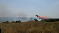  بالصور: حريق ضخم يطال 45 دونماً من الأحراش قرب مدينة اللد